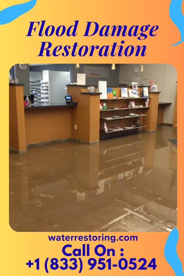 Flood Damage Restoration in Foley, MN