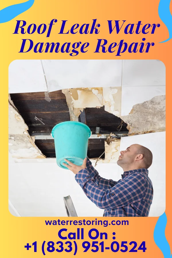 Roof Leak Water Damage Repair in Foley, MN