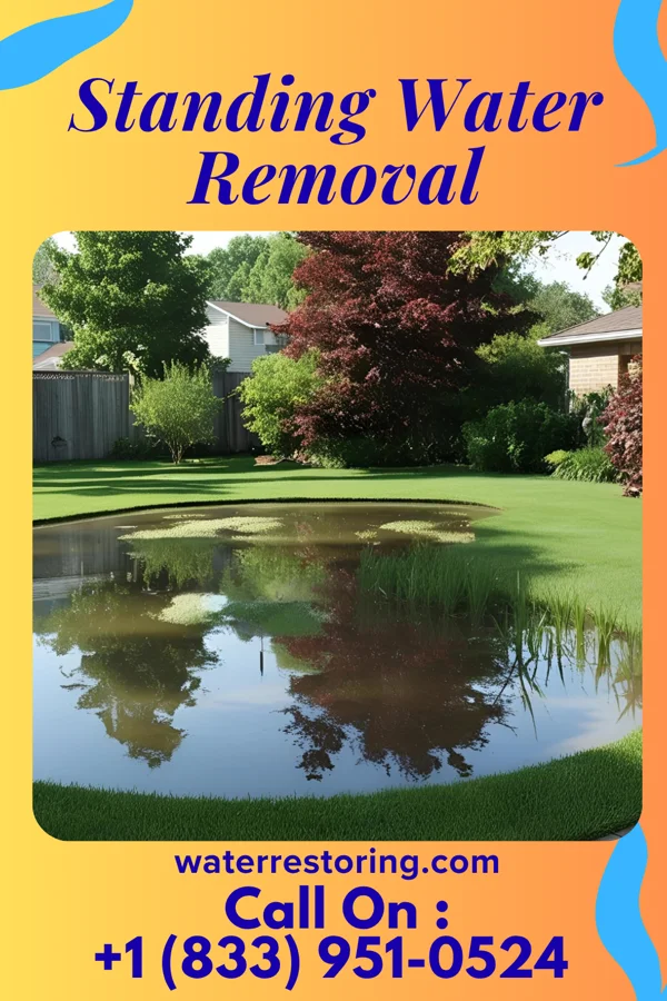 Standing Water Removal in Foley, MN